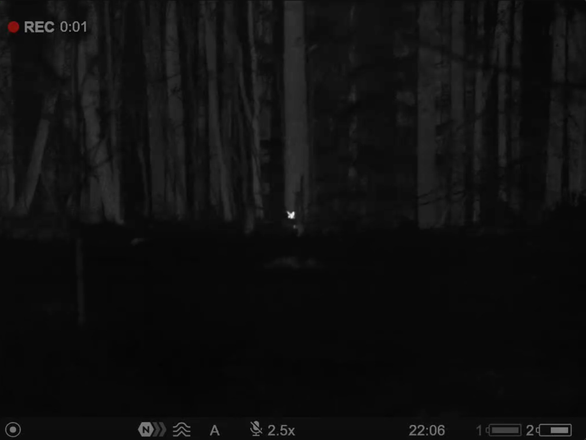 Lynx footage