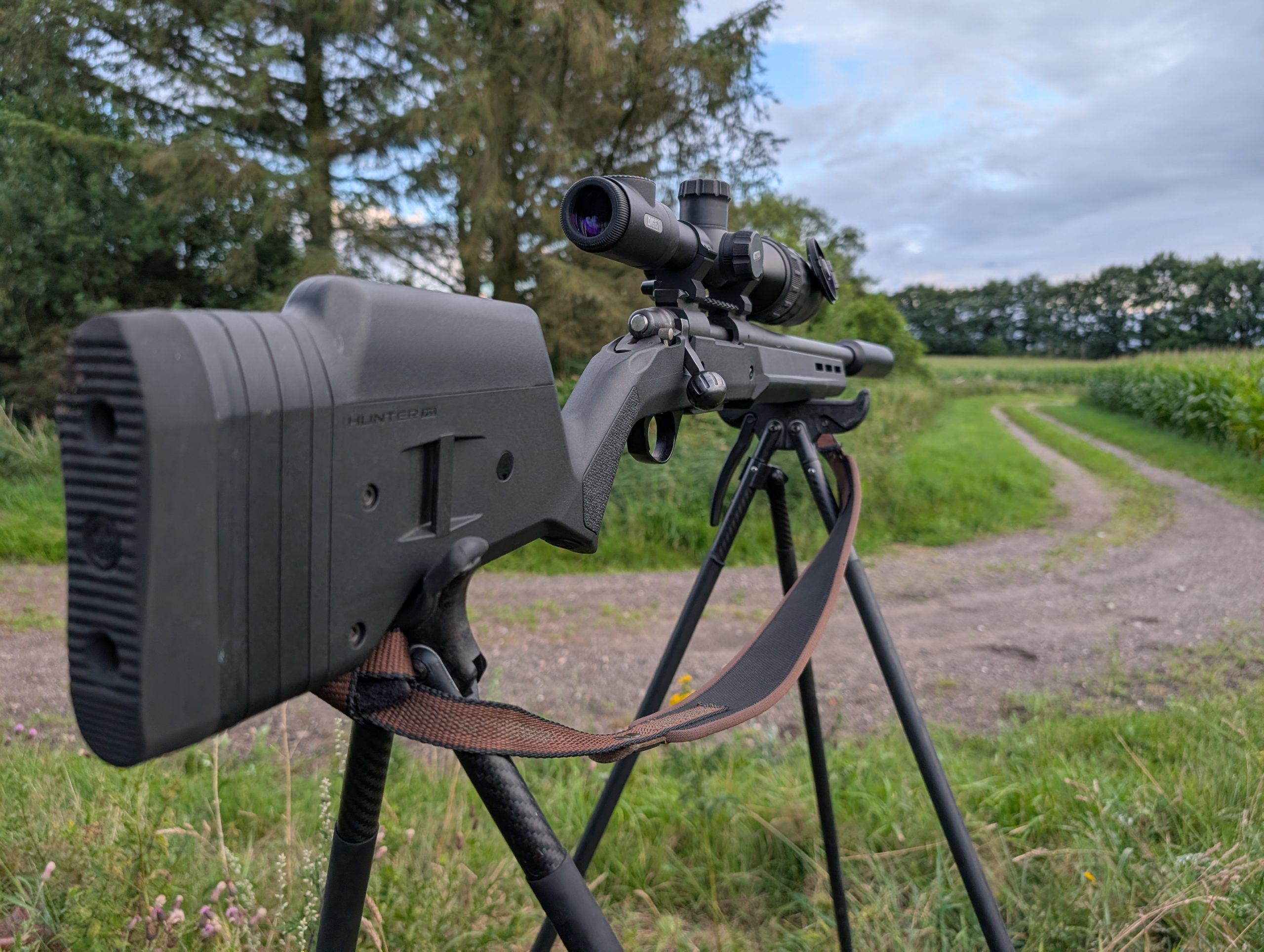 Hunting raccoon dogs: pest control guide - Pulsar Vision | News
