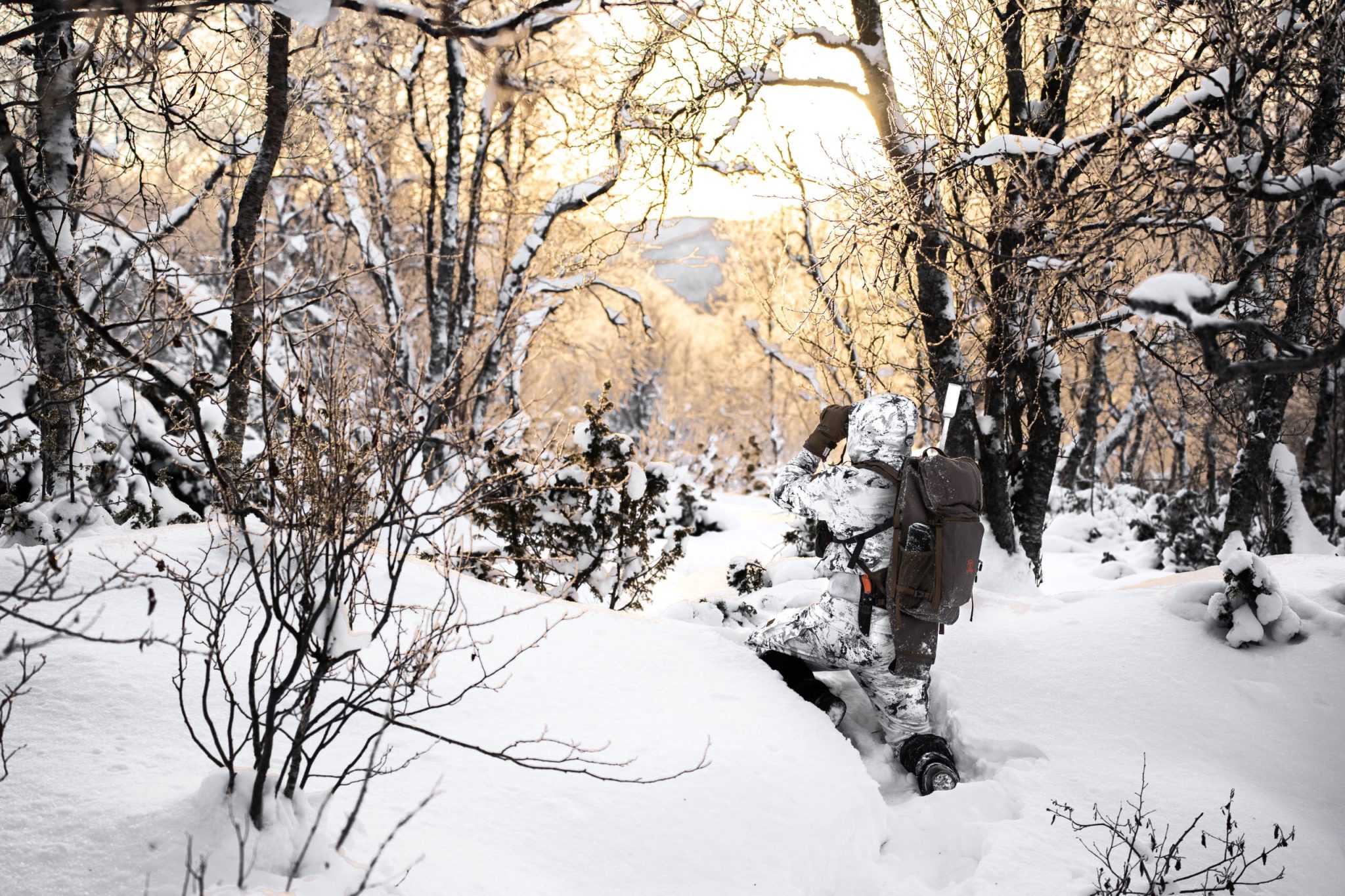Winter Uncoding Decoding the winter landscape: how animals and hunters adapt - Pulsar ...